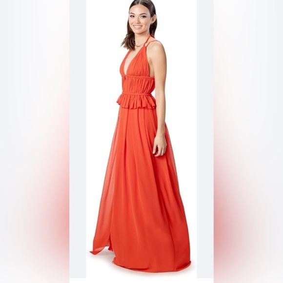 Dress the Population‎ Athena Orange poppy Fit and Flare Maxi Dress size medium - Picture 7 of 8